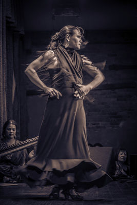 Flamenco Quartet pushes boundaries